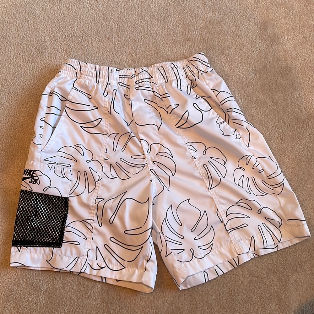 New Nike SB shorts.